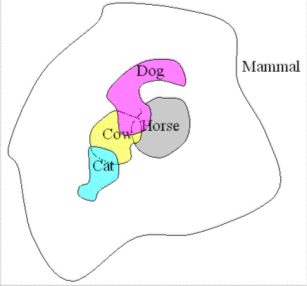 Mammal Venn Diagram 1